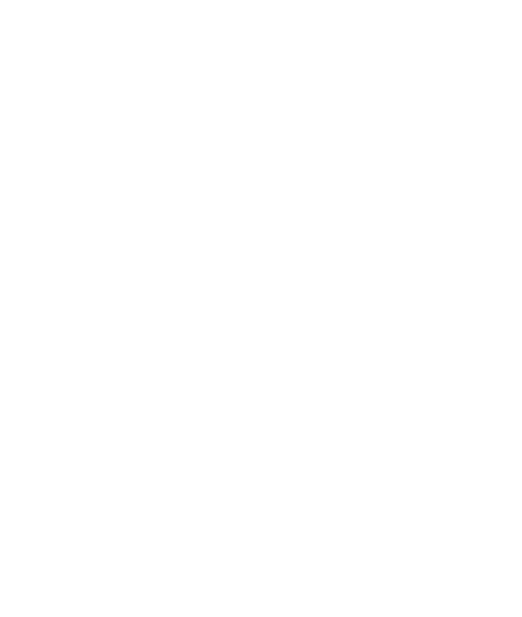 SATYA logo