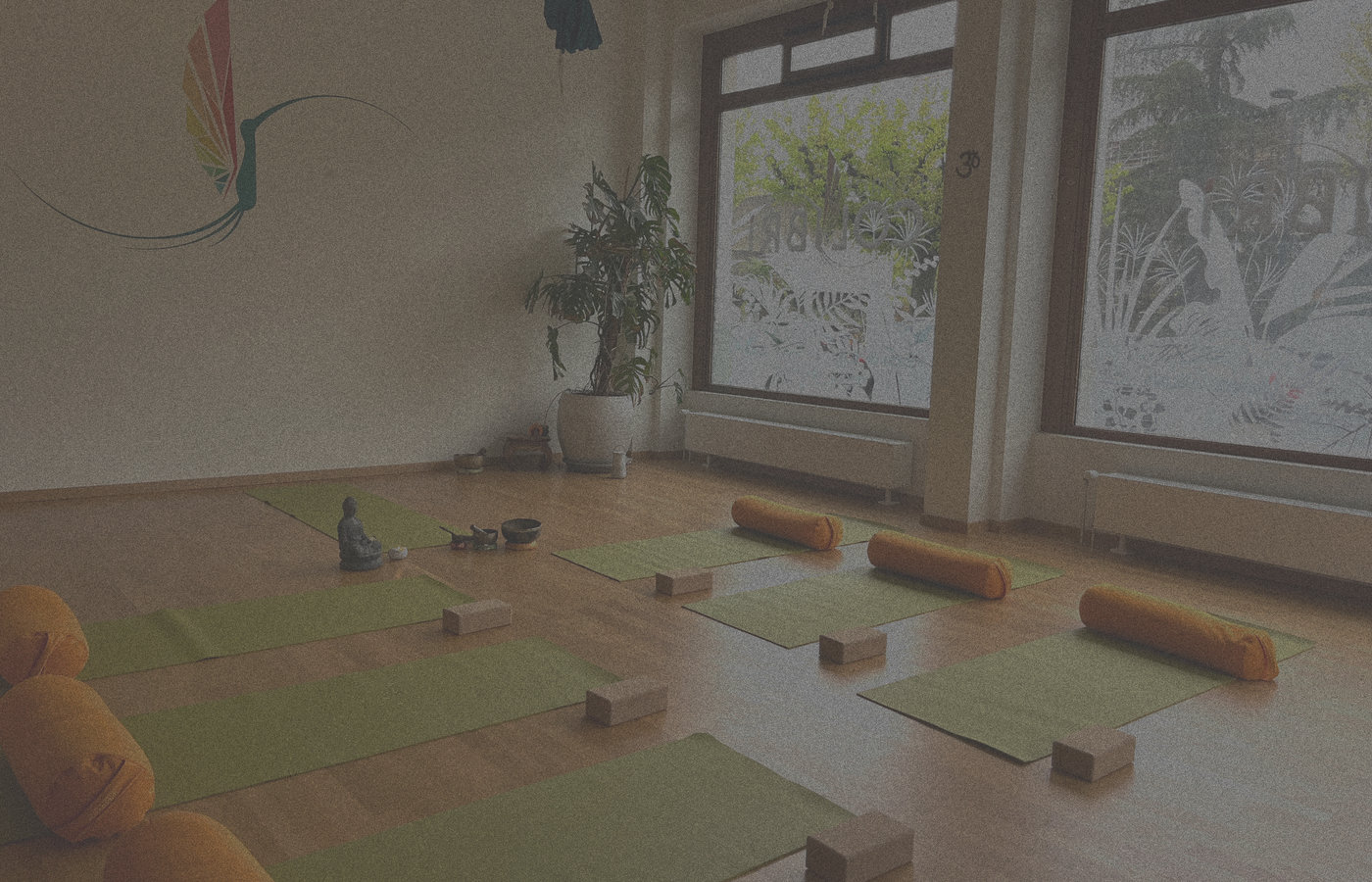 Anusara & Hatha Yoga